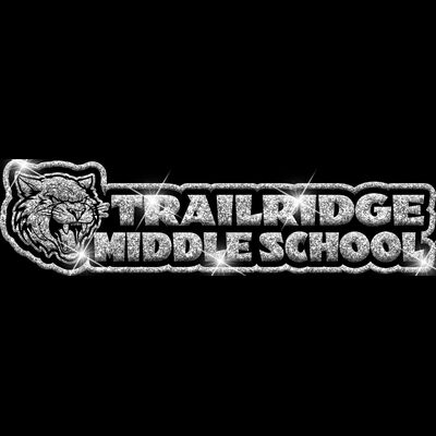 GLT99 SILVER GLITTER Thumbnail