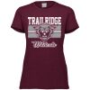3067 Ladies' Extra Soft Triblend T-Shirt Thumbnail